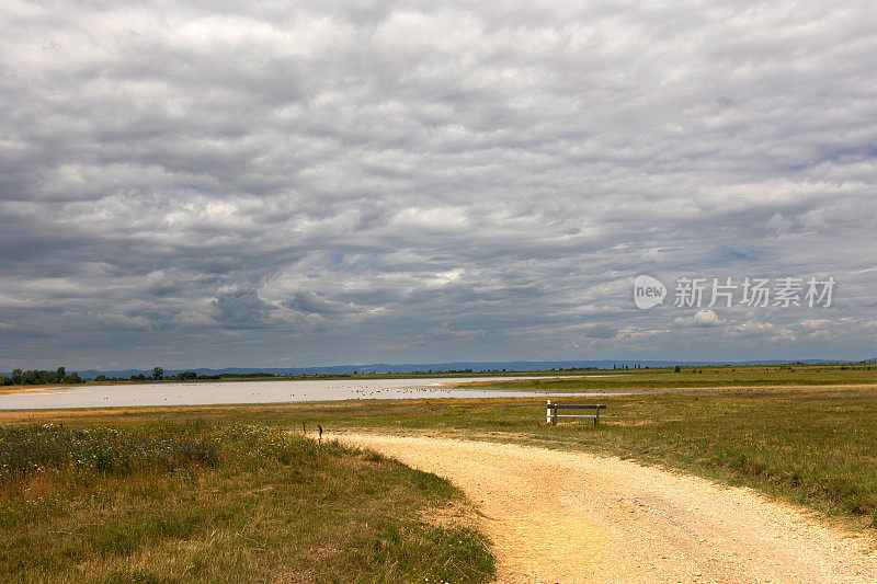 Seewinkel - Neusiedl湖景观